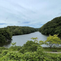 ご予約ありがとうとご来店ありがとう