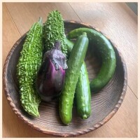 採れたての野菜