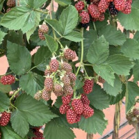 このお仕事についてみて