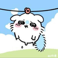全部雨のせいだ😭