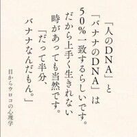 あげは