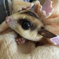本当にごめんなさい…
