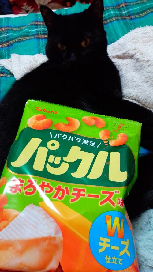 応援コメントE様♥️😊