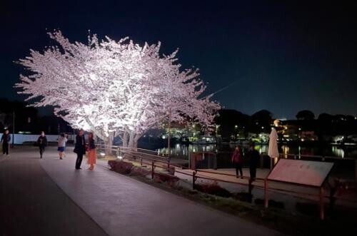 春は発情期