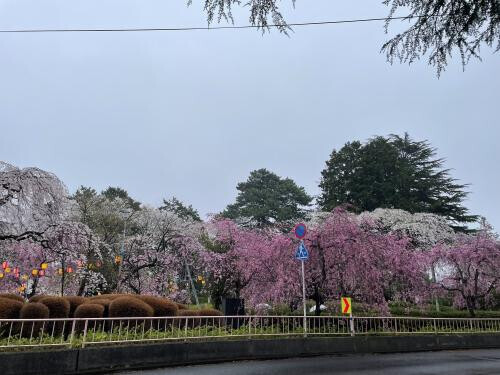 出勤しましたよ😊