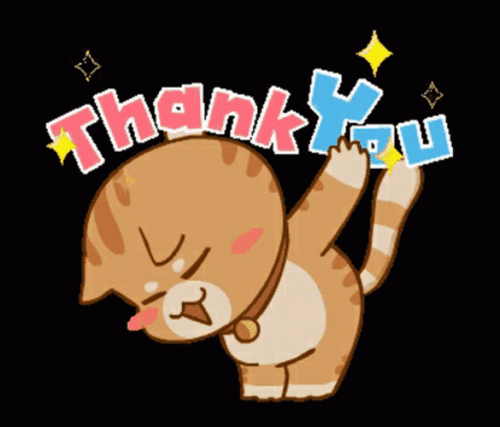 昨日のお礼🐱💕