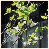 5月もよろしくお願いします