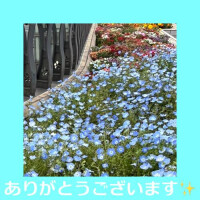 🌈Thank you for a happy day🌈