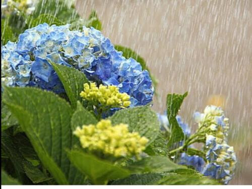 ☔雨☔