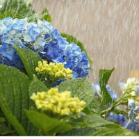 ☔雨☔