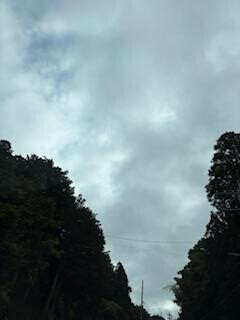K.jさま