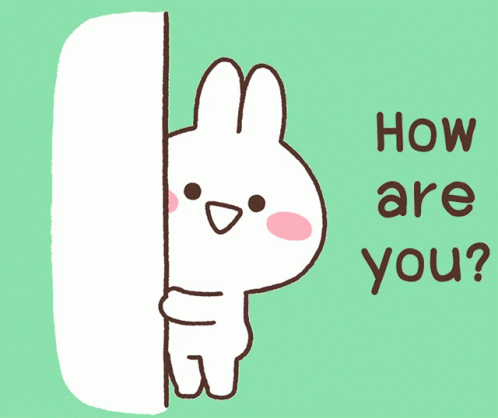 出勤中です🐱💛