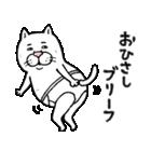 ★おしらせ★