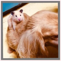 肌寒いですね