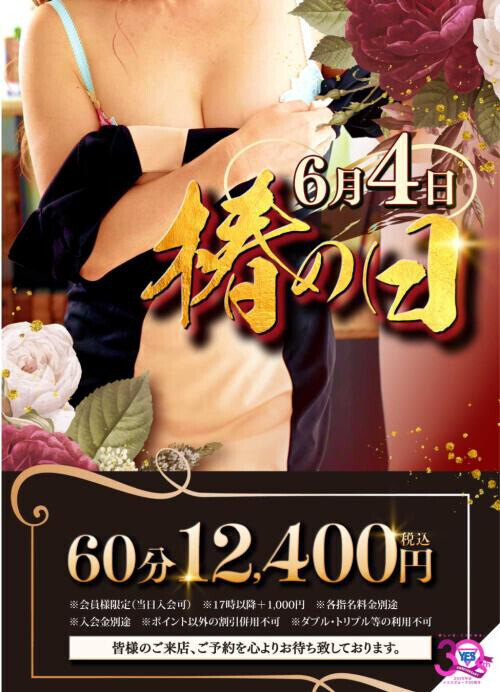 本日「椿の日」60分がお得です^_^