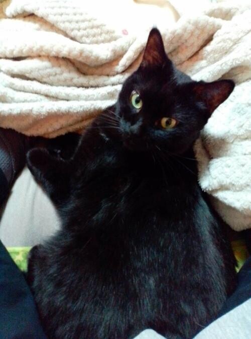 出勤しましたよ😊