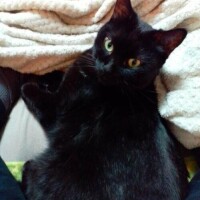 出勤しましたよ😊