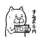 ★本日すいません★
