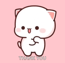 出勤しました🐱💕