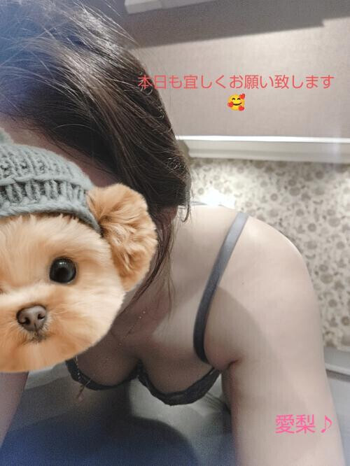出勤しました✨