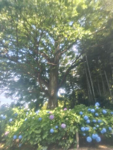 24日のお礼💕