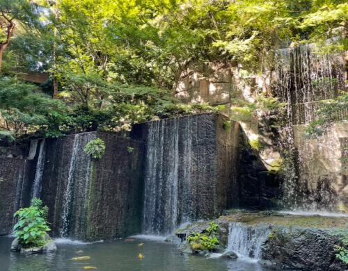 推し活三昧の3日間