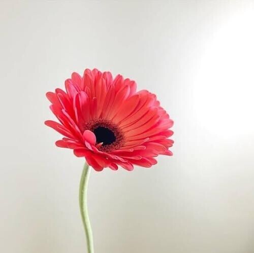 ありがとうございました♡