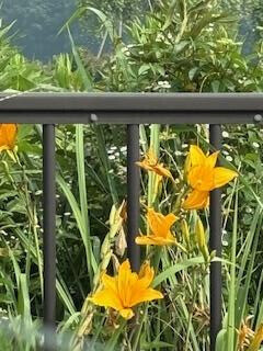 k.kさま