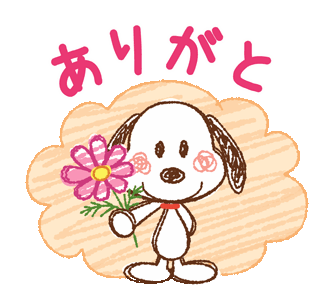 昨日のお礼💚