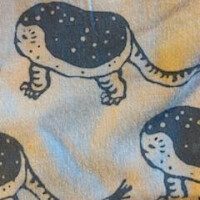 今日の手ぬぐい