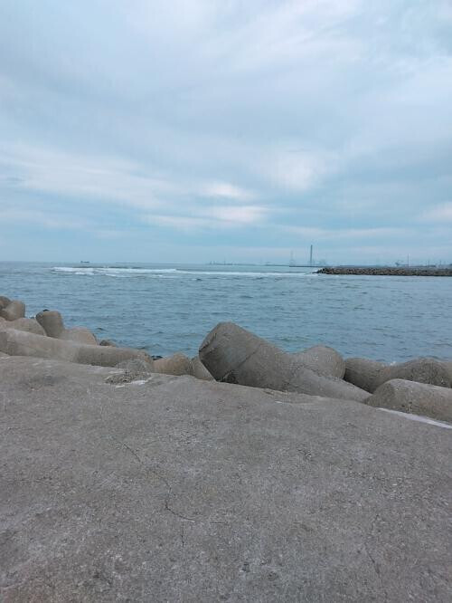 🌊