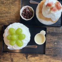 芹沢かな
