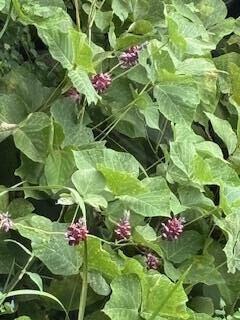 秋めいてきましたね♡