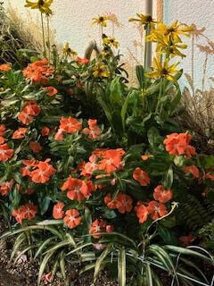 季節の変わり目を感じて…