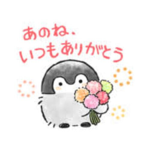 🌈Thank you for a happy day🌈