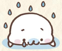 おはようございます