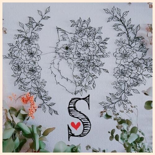 ごめんなさい💦