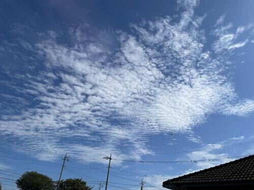 友達の旦那のアナルを？(エッチな夢)