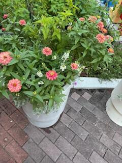 9/27お礼♡Mさま