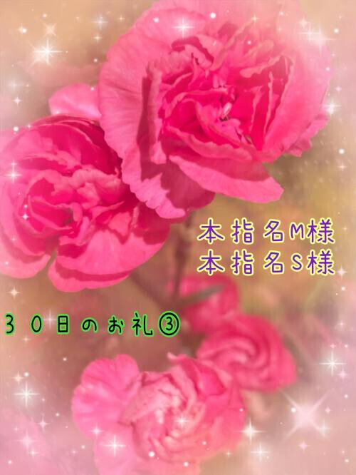 ３０日のお礼③