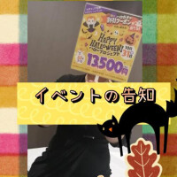 NoTitle