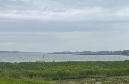 いい波求めて…のはずが…