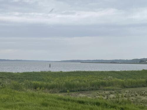 ごめんなさいm(_ _)m