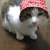 本日も楽しく