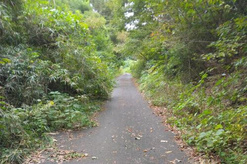鬼皮…🌰渋皮…🌰クリ皮…❣️