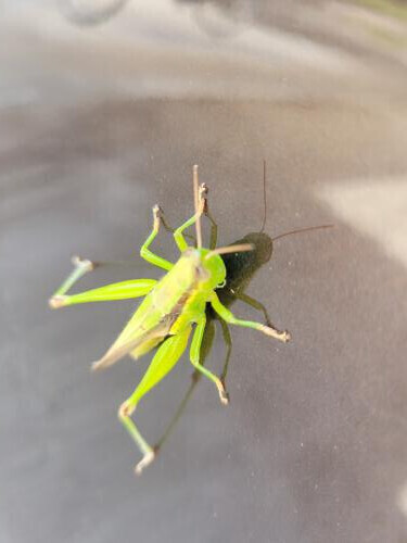 9日お礼毎度遅くなりましてすいません