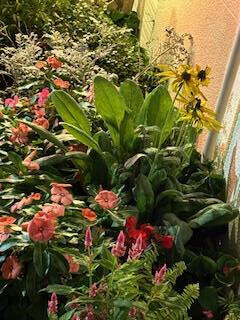 10/20お礼♡tさま