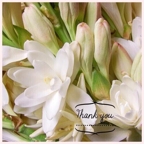 20日御礼（Oさんへ）