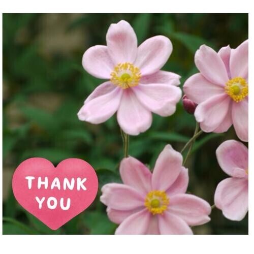 20日御礼（Sさん）