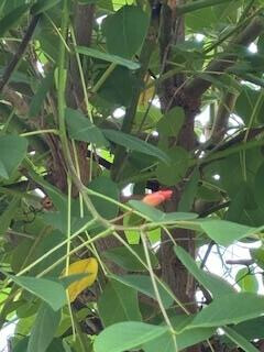 10/20お礼♡jくん